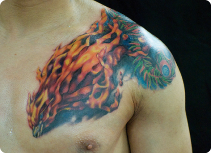 Tatuagens da Fênix (51)