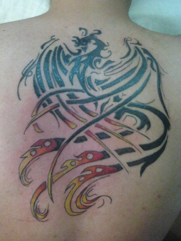 Tatuagens da Fênix (48)