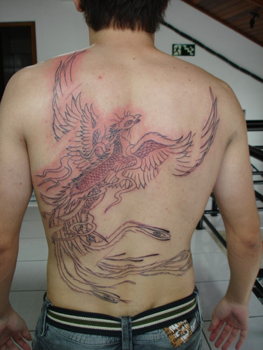Tatuagens da Fênix (45)