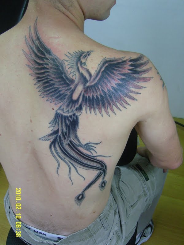 Tatuagens da Fênix (43)