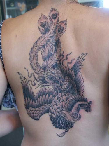 Tatuagens da Fênix (16)