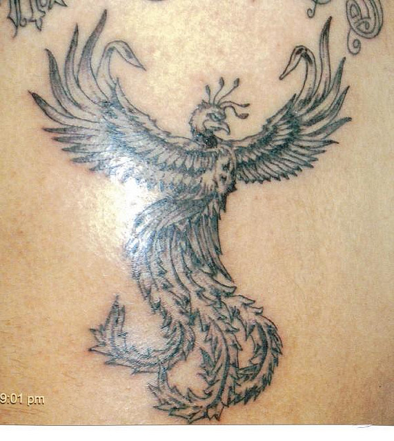 Tatuagens da Fênix (6)
