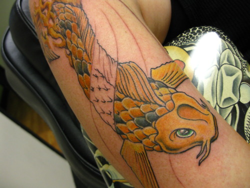 Koi Carp Tattoo (33)