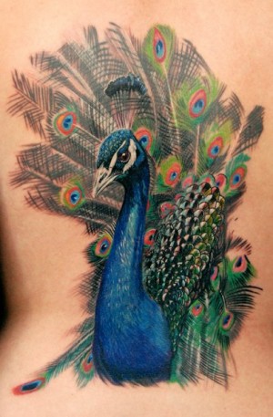 Peacock Tattoo (47)