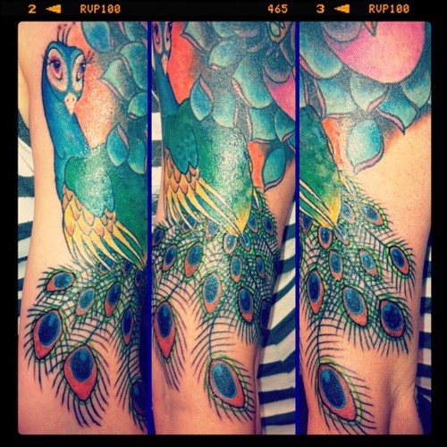 Peacock Tattoo (37)