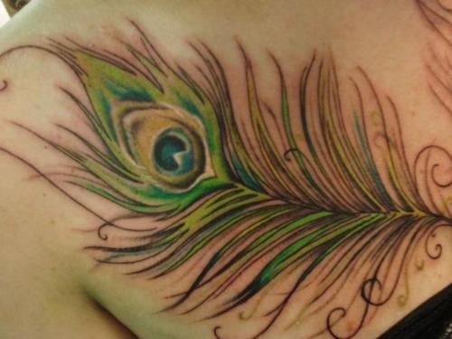 Peacock Tattoo (36)