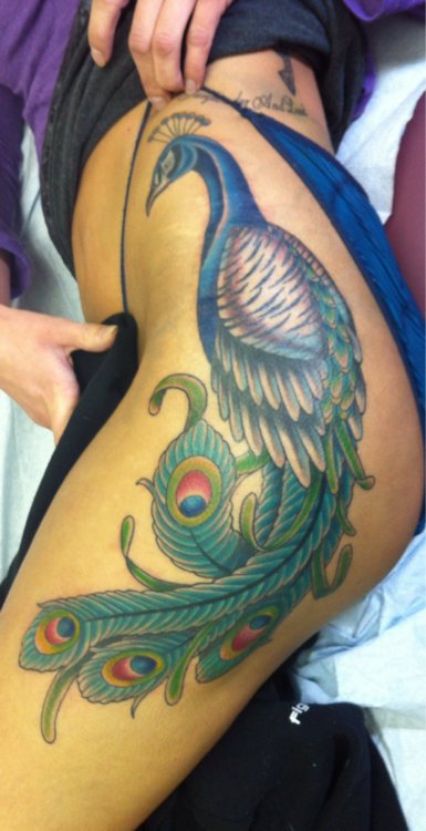 Peacock Tattoo (26)
