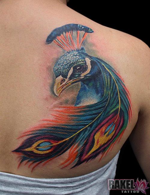 Peacock Tattoo (15)
