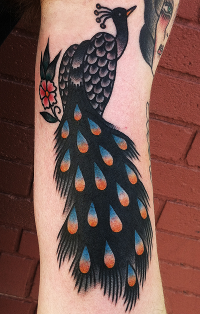 Peacock Tattoo (12)