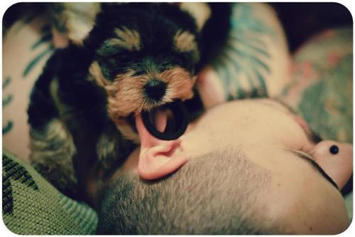 Tattooed People with Puppies (96)