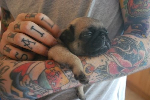 Tattooed People with Puppies (3)