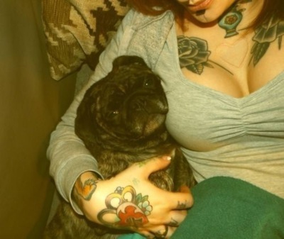 Tattooed People with Puppies (87)