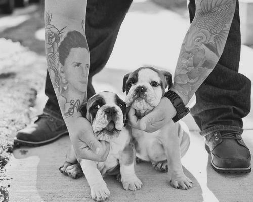 Tattooed People with Puppies (83)