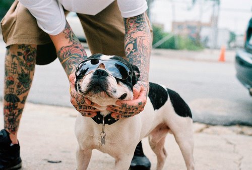 Tattooed People with Puppies (81)