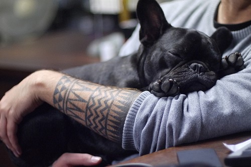 Tattooed People with Puppies (77)