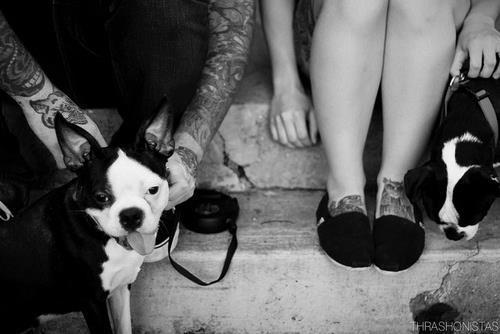 Tattooed People with Puppies (67)