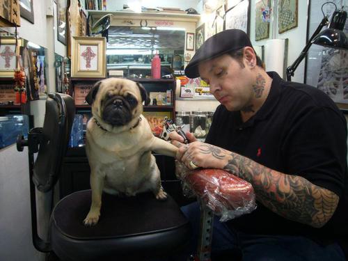 Tattooed People with Puppies (64)