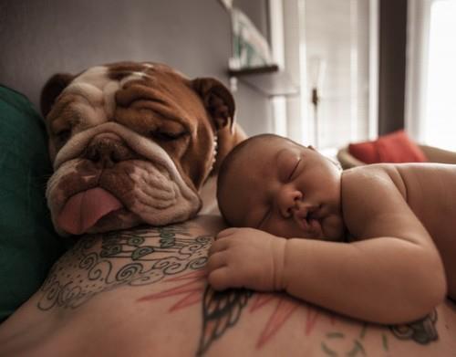 Tattooed People with Puppies (36)