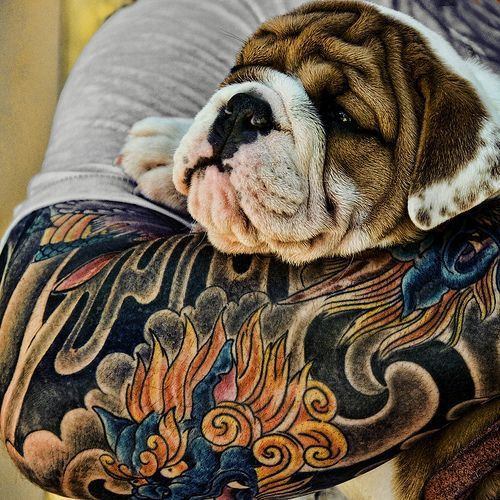 Tattooed People with Puppies (26)