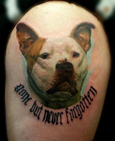 Tatuagens realistas (16)