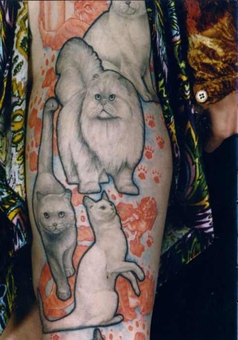 Lindas tatuagens de gatos 09