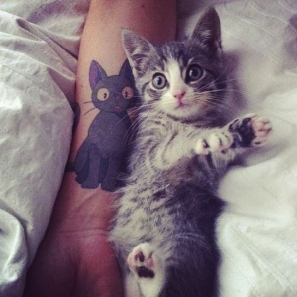 Lindas tatuagens de gatos 15