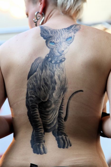 Lindas tatuagens de gatos 26